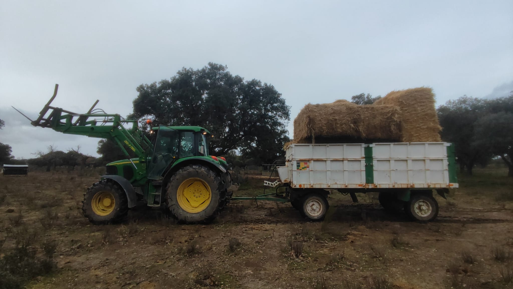 Services tractor2
